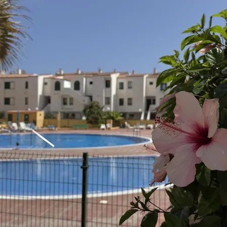Oasis En Costa Del Silencio By Deihu Experiences * Arona (Tenerife)